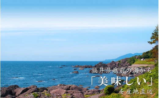 冷蔵配送！ 越前産 赤かれい 干物 大サイズ 6枚 添加物不使用 産地直送！こだわり一夜干し 調理しやすい【魚介 ひもの 干物 赤ガレイ かれい干物 カレイひもの 人気 お取り寄せ グルメ】 [e43-a001]