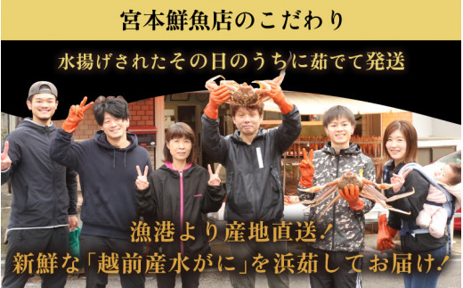 【期間限定】≪浜茹で≫越前産水がに 中サイズ6肩（足のみ 2肩あたり生で300～400g）合計900g以上 産地直送！【雄 ズワイガニ 越前ガニ 足のみ ボイル 冷蔵 かに カニ 蟹 福井県 お手頃】希望日指定可 備考欄に希望日をご記入ください [e43-x008]