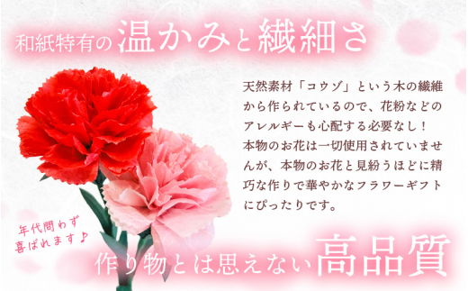 【先行予約】【母の日】カーネーション 花 ギフト 越前和紙 花一輪挿し 【2026年5月発送】「永遠の感謝」 メッセージ【カラー：ピンク】【 フラワーギフト 和紙花 手軽 コンパクト 枯れない  メッセージカード １万円以下】 [e51-a004_02]