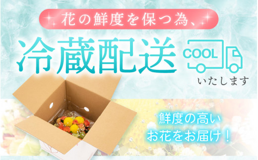 【先行予約】【母の日】 そのまま飾れる 花 ギフト フラワーアレンジメント 【2026年5月発送】生花 感謝を伝える メッセージ カード付・付属にて越前和紙 小花一輪付【福井県 花 華 おしゃれ プレゼント ギフト 母の日  手軽 メッセージカード】 [e51-a006]