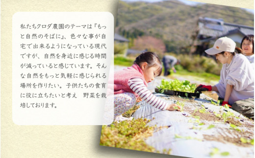 クロダ農園直送！しっかり辛くて香り高い 国産 一味唐辛子 15g×3本 [e62-a003]