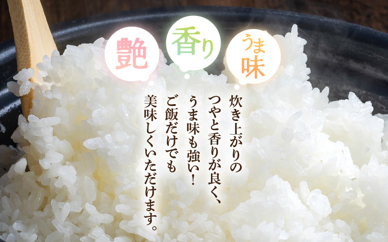 令和7年産 新米 米 5kg 精米 コシヒカリ 福井県産《14日以内に出荷予定》【白米 5キロ こしひかり お米 ごはん 人気品種 産地直送 新生活 kome】 [e66-a013]