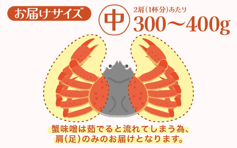 【期間限定】浜ゆで 越前産水がに中サイズ 8肩（足のみ2肩あたり300～400g） 合計1.2kg以上 産地直送 食べやすい【雄 ズワイガニ 越前ガニ 足のみ ボイル 冷蔵 かに カニ 蟹 福井県】希望日指定可 備考欄にメールアドレスをご記入ください [e72-x007]