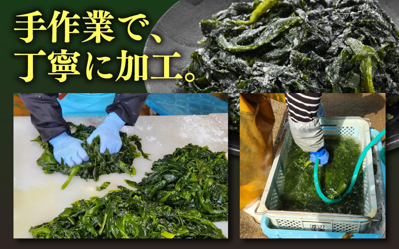 『天然物わかめ』 肉厚 福井県産わかめ 3袋（180g × 3袋）【湯通し 塩蔵 生わかめ 国産わかめ ワカメ 海藻 スープ 鍋 サラダ 刺身 酢のもの】 [e80-a003]