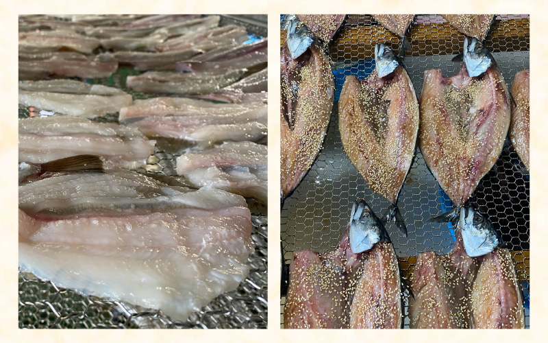 無添加 国産 干物 おまかせ3種食べ比べセット【季節のひもの 海鮮 詰め合わせ おまかせ 冷凍 ひもの 魚 おかず 魚介 アジ サバ ハタハタ カレイカマス】 [e80-a007]