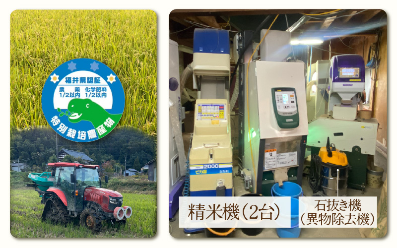 【生活応援米】令和7年産 米 特別栽培米 5kg 福井県越前町産 【玄米】【お米 コメ kome 5キロ 家庭用 白米 玄米 農薬5割減】 [e81-a002_02]