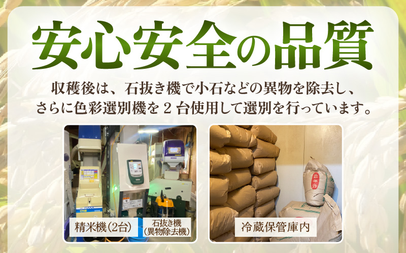【期間限定】【令和7年産 】 特別栽培米コシヒカリ3kg 無農薬米 福井県認証区分1取得 越前町【玄米】【3キロ お米 コメ 農薬化学肥料不使用 送料無料】 [e81-a003_02]
