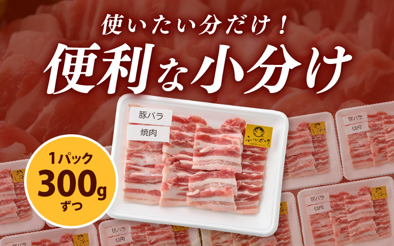 「福井県ブランド豚」ふくいポーク バラ焼肉 600g（300g × 2パック）【銘柄豚肉  豚ばら肉   国産豚肉 福井県産 ポーク 焼き肉 おかず 夕食 キャンプ飯 ぶたにく 使い勝手抜群 三元交配 肉 冷凍肉 小分け BBQ 】 [e02-a033]