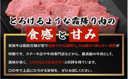 若狭牛 和牛ロース焼肉用 計500g（250g × 2パック）福井県産 ロースA4等級 以上を厳選！【牛肉 黒毛和牛 黒毛 和牛 冷凍 小分け バーべキュー グルメ】 [e02-c011]