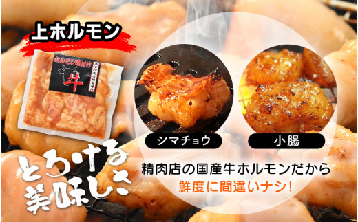 国産 牛ホルモン セット 計400g（上ホルモン・ミックスホルモン 各1袋） 旨みそダレ漬け！ 【 冷凍 お手軽 小分け BBQ バーベキュー 】 [e03-a027]