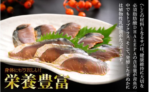 熟成 国産お刺身 さばのへしこ 24切（8切れ ×３パック）【郷土料理 伝統 名産 ぬか漬け 糠漬け ヌカ漬け ぬかづけ 発酵 海鮮 おつまみ 酒の肴 珍味 さば サバ 鯖 北陸 福井 保存食 ギフト ご贈答】 [e04-a036]