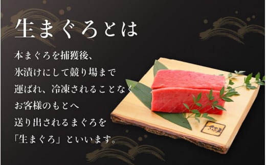 「生本まぐろ」中トロ 約300g（2～3柵） まぐろの王様！！【本まぐろ 鮪 ホンマグロ まぐろ 中とろ 冷蔵 お取り寄せ グルメ】 [e04-a081]