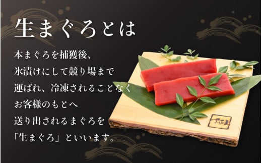 「生本まぐろ」赤身 約300g（2～3柵） まぐろの王様！！【本まぐろ 鮪 ホンマグロ まぐろ 冷蔵 お取り寄せ グルメ】 [e04-a082]