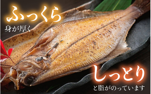 干物 セット 赤がれい 一塩干し 大サイズ （1尾 × 3パック入り）1尾約170g【福井県産 赤カレイ 小分け 個包装 詰め合わせ 保存料・着色料 無添加】 [e04-a091]