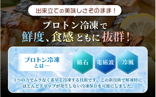 魚屋が作る 浜焼き鯖寿司 2本 セット！浜焼き鯖寿司（生姜）×1本 浜焼き鯖寿司（ゆず）×1本【さば サバ 鯖 寿司 すし 焼き 魚 冷凍 レンジ グルメ 福井 土産】 [e04-a093]