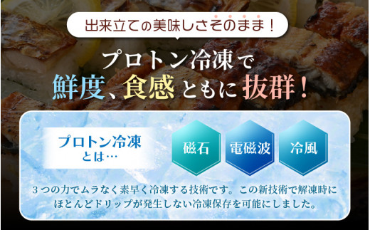 魚屋が作る 浜焼き鯖寿司 2種＆うなぎ寿司 3本 セット！浜焼き鯖寿司（生姜）×1本 浜焼き鯖寿司（ゆず）×1本 うなぎ 寿司×1本【さば サバ 鯖 鰻 ウナギ 寿司 すし 焼き 魚 冷凍 レンジ グルメ 福井 土産】 [e04-a096]