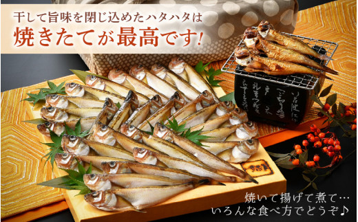 越前産 干しはたはた（3～4尾）× 9パック 越前塩のみで仕上げた一塩干し！【干物 ひもの ハタハタ 海鮮 冷凍 個包装】 [e04-a107]