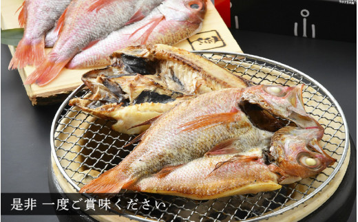 のどぐろ 開き 大サイズ × 2尾（170～200g / 尾）【干物 ひもの 無添加 のどぐろ ノドグロ あかむつ アカムツ 冷凍 贈答 化粧箱入 個包装】 [e04-b030]