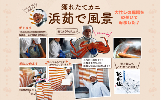 越前がに本場の越前町からお届け！越前がに 浜茹で≪松セット≫3～4人前 かに酢 かにの食べ方しおり かにスプーン付き【かに カニ 蟹】【福井県 越前町 雄 ズワイガニ ボイル 冷蔵 越前ガニ 越前かに 越前カニ ずわいがに ずわい蟹 かに カニ 蟹】【2月発送分】【小サイズ：300～400g × 4杯（※茹で前重量）】希望日指定可 備考欄に希望日をご記入ください [e04-x007【】02c]