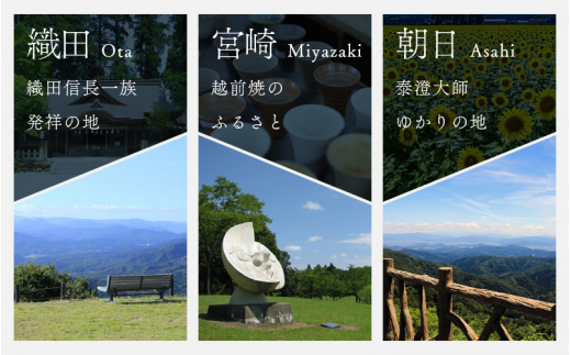 越前町ふるさと感謝券（5,000円分）【宿泊 レジャー アウトドア BBQ 体験型 宿泊券 福井県】 [e05-a001]