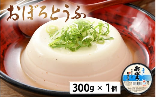 国産大豆とうふ  がんも 厚揚げ お楽しみセット6種 各1個 【国産 大豆 豆腐 とうふ 厚揚げ がんもどき 食べ比べ ぎんなん 青豆 黒豆 】 [e08-a004]