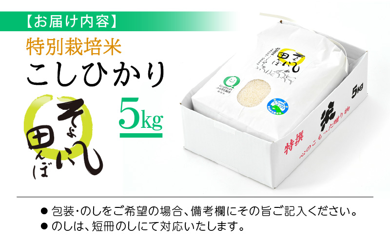 令和7年産 特別栽培米 コシヒカリ 5kg 福井県産米（有機肥料100% 農薬7割減）【令和7年産 人気品種】 [e10-a019]