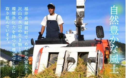 新米 令和7年産 有機JAS 米 越前コシヒカリ 5kg 福井県産【精米】【有機栽培 JAS認証 人気品種 こしひかり 5キロ】 [e10-c005]