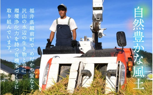 新米 令和7年産 有機JAS 米 越前コシヒカリ 5kg 福井県産【玄米】【有機栽培 JAS認証 人気品種 こしひかり 5キロ】 [e10-c004]