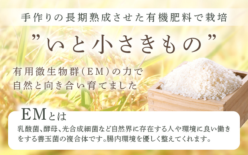 《6ヶ月定期便》農薬不使用 こしひかり 5kg×6ヶ月連続 計30kg 令和7年産 特別栽培米コシヒカリ【精米】福井県認証区分1取得「田んぼの天使」越前町 【5キロ お米 コメ 農薬化学肥料不使用 送料無料】 [e10-k003]