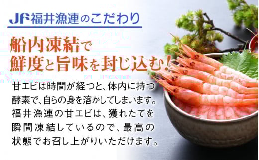 甘えび 大サイズ35～40尾（計500g）船内凍結 福井県沖から直送！鮮度と旨味に自信あり【福井漁連 ブランド品 甘エビ あまえび 】 [e12-a040]