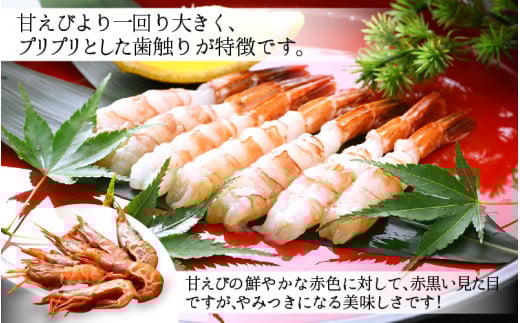 「幻のえび」 越前エビ 1kg （500g × 2箱） 船内凍結 鮮度と旨味に自信あり！【 福井漁連 ブランド品 越前えび 1キロ 】 [e12-b008]
