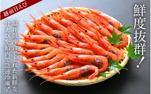 福井漁連 エビ2種 食べ比べセット 計1kg！「幻のエビ」越前えび500g & 越前甘エビ500g [e12-b009]