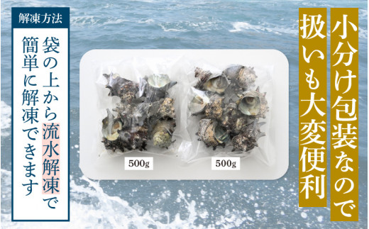 【先行予約】 天然 さざえ ボイル済 13～15個入 1kg（500g × 2袋）産地直送でお届け！ 【2026年6月中旬より順次発送】【越前町産 栄螺 サザエ 冷凍 小分け 海鮮 BBQ バーベキュー】 [e14-a010] 