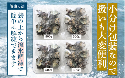 【先行予約】天然 さざえ ボイル済 26～30個入 2kg（500g × 4袋）産地直送でお届け！【2026年6月中旬より順次発送】 【越前町産 栄螺 サザエ 冷凍 小分け 海鮮 BBQ バーベキュー】 [e14-a011]