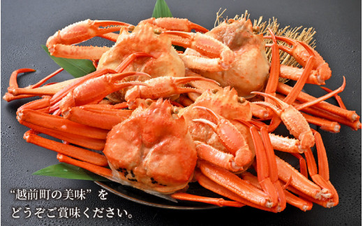 【訳あり】≪浜茹で≫越前産 紅ずわいがに 約700g × 4杯 食べ方しおり付【紅ズワイガニ カニ かに 蟹 姿 ボイル 冷蔵 福井県】【2月発送分】希望日指定不可 [e14-x002【】02]