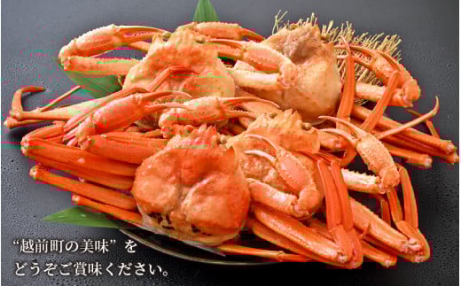 【訳あり】≪浜茹で≫越前産 紅ずわいがに 約700g × 4杯 食べ方しおり付【紅ズワイガニ カニ かに 蟹 姿 ボイル 冷蔵 福井県】【4月発送分】希望日指定不可 [e14-x002【】04] 