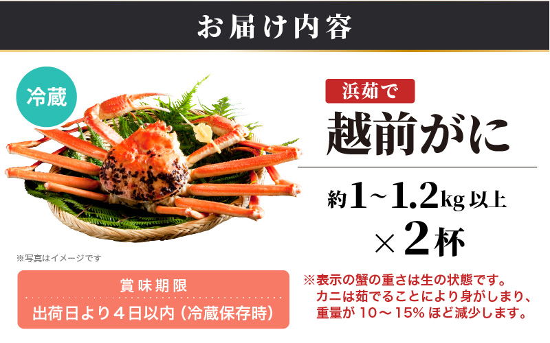【ANA限定】≪浜茹で≫越前がに 特大サイズ 2杯（生で1杯1kg～1.2kg以上）食べ方しおり付【 雄 ズワイガニ かに カニ 蟹 越前ガニ 姿 ボイル 冷蔵 福井県】【2月発送分】希望日指定可 備考欄に希望日をご記入ください [e14-x024【】02]