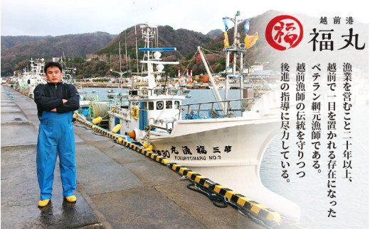 越前産 かれい 「一夜干しカレイ3種セット（合計6～9尾）」 [e15-a001]