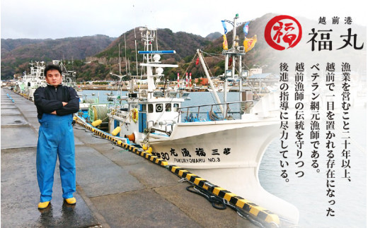 【海鮮丼の素】越前漁師かれい漬け 75g × 5パック【一品料理】 [e15-a009]