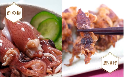 急速冷凍 生 ホタルイカ 21尾入 × 5パック 合計約700g（刺身・しゃぶしゃぶ用）小分け ふっくらプリプリ 鮮度抜群 全国トップクラスの漁獲量 越前町よりお届け 上品な甘みを存分にお楽しみください！【ほたるいか おつまみ 酒の肴 お取り寄せ グルメ 冷凍 宅飲み】 [e15-a015]