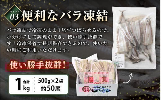 食べやすい越前の魚！骨取り メギス 開き 約1kg（50尾前後）500g × 2袋 網元漁師「福丸」厳選！【ニギス にぎす さかな めぎす おかず グルメ 小分け 冷凍 個包装 グルメ 惣菜  魚介類 海鮮 焼魚 フライ 揚げ物 バーベキュー】 [e15-a023]