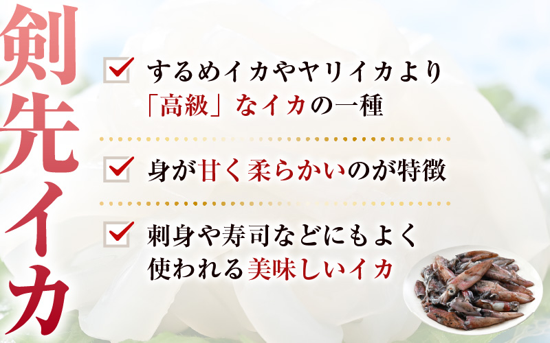 【急速冷凍】【訳あり】生いか 天然ケンサキイカ サイズ無選別 500g 定置網漁 皮むけ・サイズ不揃い【剣先いか 生イカ いか 白イカ いかめし いか焼き 姿焼き げそ 煮付け 海鮮 鮮魚 おつまみ】 [e15-a061]