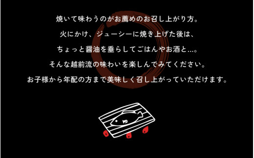 越前がれい 天日干し 大2枚 越前の港から直送！旨味濃縮 一夜干し [e23-a001]
