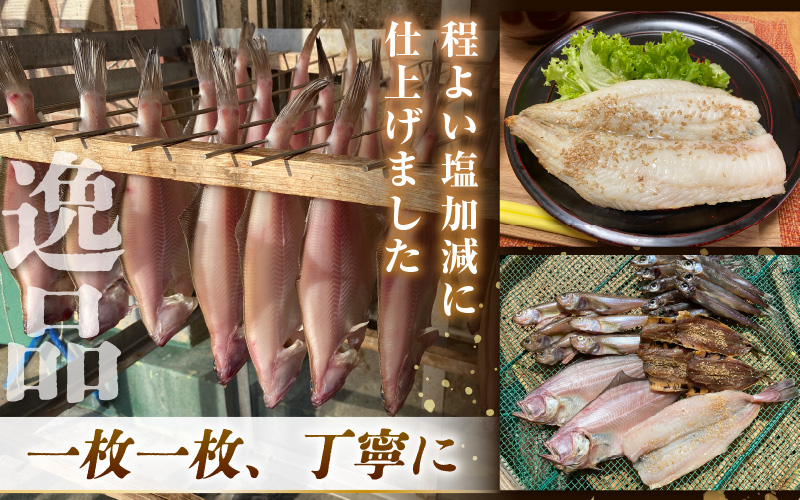 【先行予約】珍しい冷蔵発送！魚屋のこだわり干物「春にお届け干物セット」【2026年4月上旬以降順次発送予定】【保存料・着色料無添加 海鮮 詰め合わせ おかず 魚介 アジ サバ カレイ 魚 ひもの 惣菜】 [e23-a002]