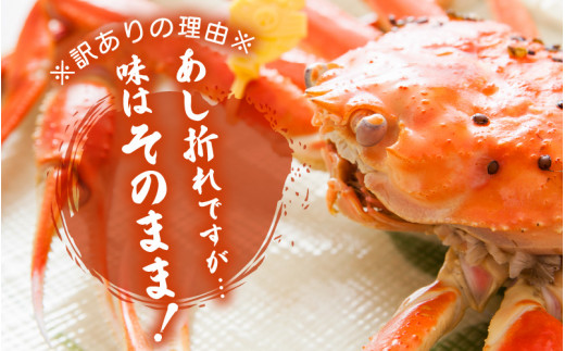 【訳あり】越前がに本場の越前町からお届け！足折れ 越前がに 浜茹で 中サイズ（生で600～700g） × 1杯【かに カニ 蟹】【福井県 越前町 雄 ズワイガニ ボイル 冷蔵 越前ガニ 越前かに 越前カニ ずわいがに ずわい蟹 かに カニ 蟹】【2月発送分】希望日指定可 備考欄に希望日をご記入ください [e23-x001【】02]