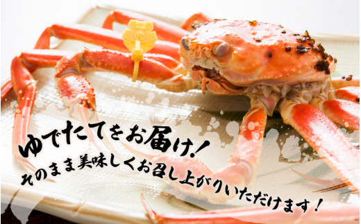 越前がに本場の越前町からお届け！ 越前がに≪浜茹で≫中サイズ（生で600～700g） × 2杯【かに カニ 蟹】地元で喜ばれるゆで加減・塩加減で越前の港から直送！【福井県 越前町 雄 ズワイガニ ボイル 冷蔵 越前ガニ 越前かに 越前カニ ずわいがに ずわい蟹 かに カニ 蟹】【1月発送分】希望日指定可 備考欄に希望日をご記入ください [e23-x009【】01]