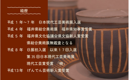 【越前焼】豊彩窯 セパレート お皿とカップ「くつろぎのうつわ」【福井県 マグカップ さら セット ギフト 伝統工芸品 陶器 陶磁器 湯呑み 小皿】 [e25-a010]