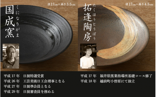 【越前焼】窯元めぐり そば鉢編 5枚組 煮物やサラダの盛付にもぴったり【国成窯 拓逢陶房 豊彩窯 宗山窯 竜仙窯】【福井県 蕎麦 ソバ はち ボウル さら 取り皿 伝統工芸品 陶器 陶磁器 皿】 [e25-d002]