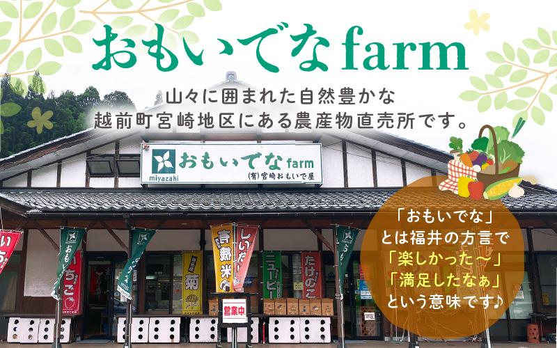【令和7年産・新米】特別栽培米 こしひかり 5kg【玄米】【こめ コシヒカリ 人気品種 ブランド米 5キロ 白米 精米 玄米 おにぎり うまい 福井県ブランド米 福井県産 農薬 50％減】 [e26-a012_02]