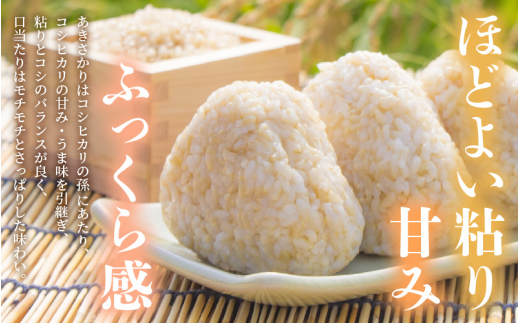 【新米】 令和7年産 あきさかり 10kg 福井県産 コシヒカリ系統品種【玄米】【お米 アキサカリ 10キロ】 [e30-b012]